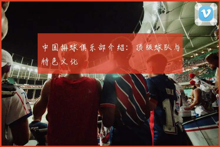 中国排球俱乐部介绍：顶级球队与特色文化