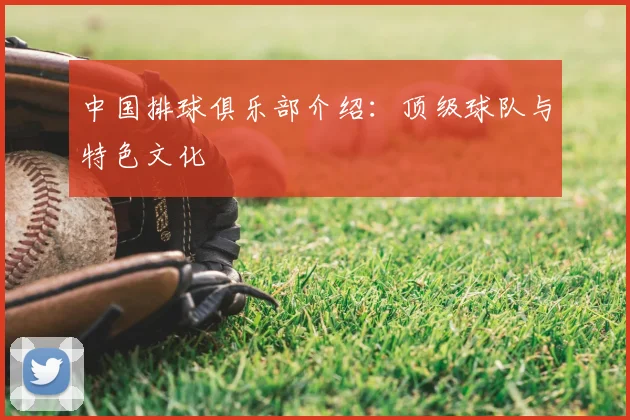 中国排球俱乐部介绍：顶级球队与特色文化