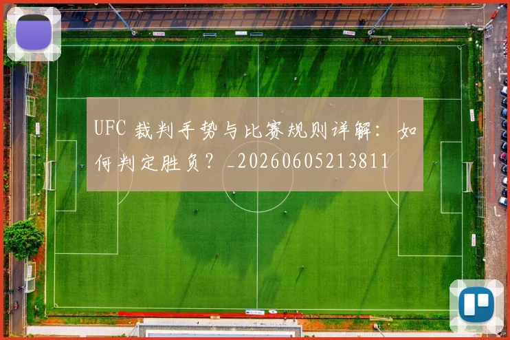 UFC 裁判手势与比赛规则详解:如何判定胜负?_20260605213811